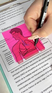 Calcando con las notas transparentes | Einstein Libreria