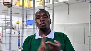 Master Dairy Farming & Maximize Profits! 🐄💰Unlock the secrets to successful dairy farming with this comprehensive guide! In this video, you’ll discover expert tips on: 🌾 Building an Efficient Dairy Barn – Optimize space and comfort for your cows. 🥛 Feeding Dairy Cows – Nutrition plans for healthy, high-yielding herds. 🐂 Choosing Top Breeds – Select the best breeds for maximum productivity. 📈 Boosting Milk Yields – Proven techniques to keep production high. 🏡 Small-Scale Farming Hacks – Tu