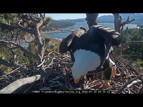 1-10-2026 Shadow Delivers Fish Gift for Jackie…