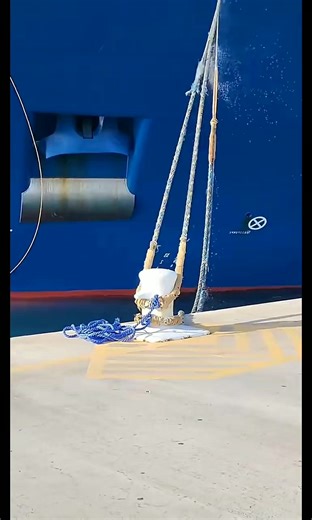 204K views · 341 reactions | . . . . #facts #shorts #didyouknow #youtubeshorts #amazingfacts #viralshorts #interestingfacts #fblifestyle | Fact Checkz | Facebook