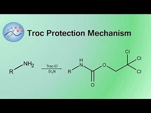 Troc Protection Mechanism | Organic Chemistry