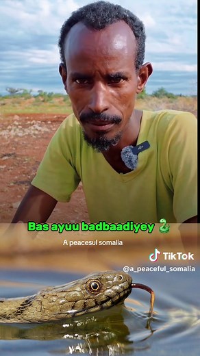 Explore the Vibrant Culture of Mogadishu, Somalia