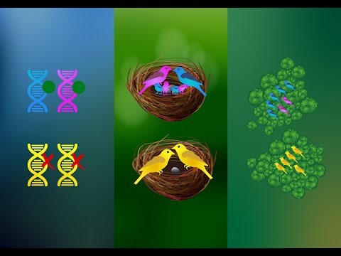 Genetic Rescue Saves Species from Extinction