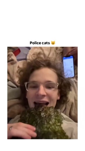 WIILDVIDS IO | This video shows a common but important example of animal curiosity and instinctive behavior, especially in domestic cats. Cats are natural... | Instagram