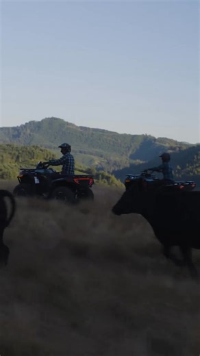 Take on any challenge with the CFORCE lineup! From ranch work to off-road fun, we've got you covered. Visit Wild West Motorsports -An Elway Powersports Dealership and call (970) 351-8150 for more info! Check out our inventory here, http://wildwest.dz.cfmotousa.com/?utm_source=facebook&utm_source_platform=thumbstopper! #CFMOTOUSA #CFORCE #ATV . . . #CFMOTO | Wild West Motorsports -An Elway Powersports Dealership