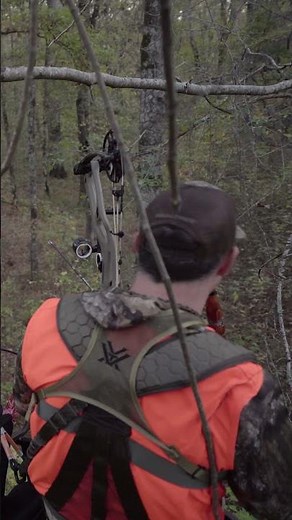 Huge Georgia buck! Almost got a shot with the NEW Hoyt RX-10!