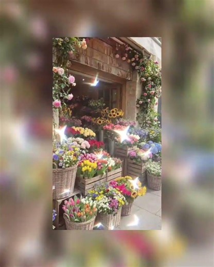 اجمل تصاميم ورود لعشاق الورود🌹✨ مع اجمل اغنيه كل ما اكبر حبك يكبر 🎀❤️