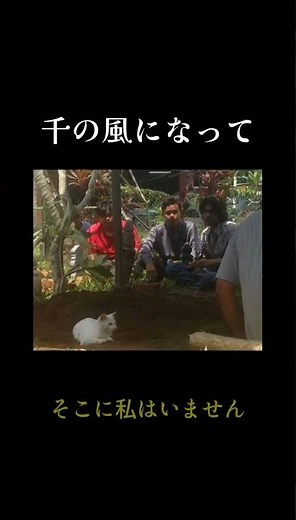 私のお墓の前で泣かないでくださいな件