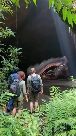 Hidden Dragon Cave Discovered in the Amazon Jungle!🐉 #dragonball #dragon #amazon