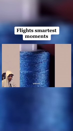 “dolphins doing sit ups” #fyp #flightreacts #fypシ #foryoupage