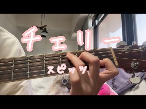【弾き語り cover】チェリー／スピッツ