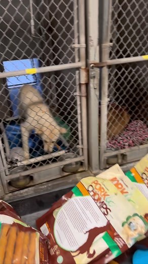 2K views · 225 reactions | ♥️ One Love Enrichment Wednesday at...