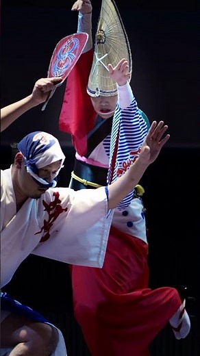 阿波踊り2023 秋の阿波おどり #阿波おどり振興協会