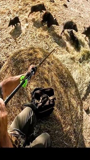 My Blowgun Works Well!