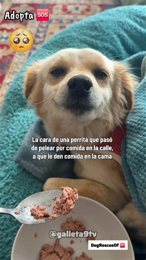 Su carita lo dice todo 🥣❤️