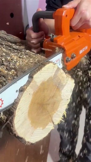 Chainsaw Cutter Cutting Large Wood Pieces
