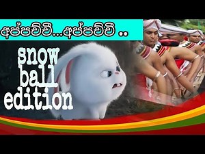 ran arunalle peedena ..රන් අරුනැල්ලේ පීදෙන .. snow ball version ..❤️❤️🗡