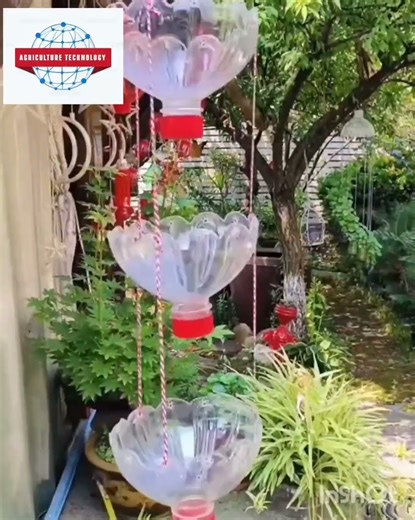 OBUTONDE: How to make beautiful flowers in compound.