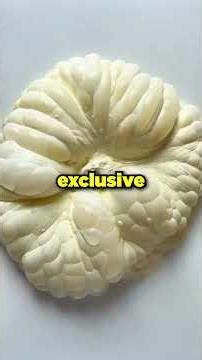 I Didn't Say A Word, Just Sent One Text. Her Boss Asked, "Nothing To Say?"