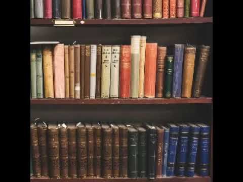 Minerva se dezlantuie- Rodica Ojog Brasoveanu