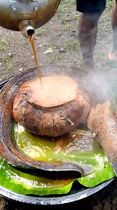 2.4M views · 8.3K reactions | Nice color eel and sun dollar 缾螺 #highlights2025 #fbreels #highlights #viralreelsシ | gems vlog | Facebook