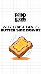 3.4K views · 4 comments |  Why does toast always land butter side...