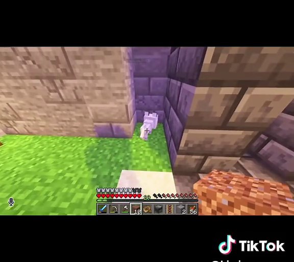 Lizzie and Joel Adventures in Last Life SMP