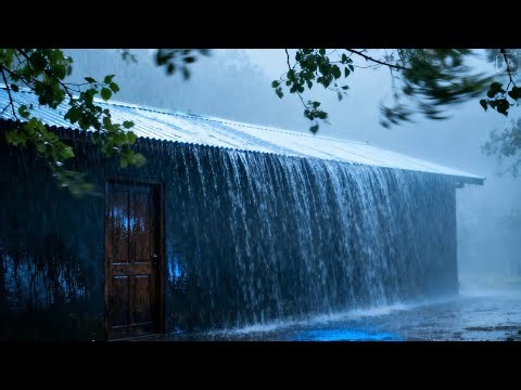 Soft Rain On Forest Road | Soothing Rain Sounds For Sleeping