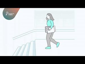 Prevención ante caídas en escaleras