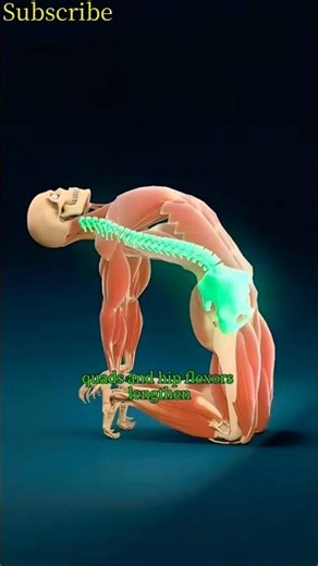 Wall Supported Backbend for Lower Back Strength & Spine Mobility | Camel Pose Variation