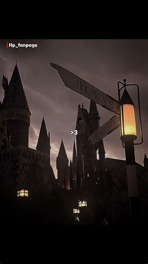 btw I am the "same" one✌️✨#harrypotter #wizardingworld