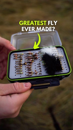 Ventures Fly Co on Instagram: "This Might Be the Greatest Fly Ever Created! — Fly Tying in 60 Seconds The Prince Nymph is simply one of the most effective fly fishing flies ever created. Today, we will teach you how to tie this amazing fly step by step in our 60 second fly tying tutorial. If you are a beginner in fly fishing, you definitely want to add a bunch of these to your fly box! #flyfishing #flytying #venturesflyco #livereellife #beginnerflytying #flytyingbench #flytyingflies"