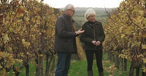 How to taste sparkling wine