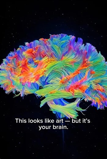 Inside the Brain: Visualizing Neural Pathways with Diffusion Tensor Imaging