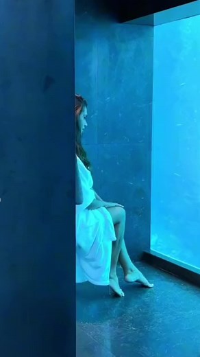 🐟🐠🐡 #novke #fyp #foryoupage #viral #wc