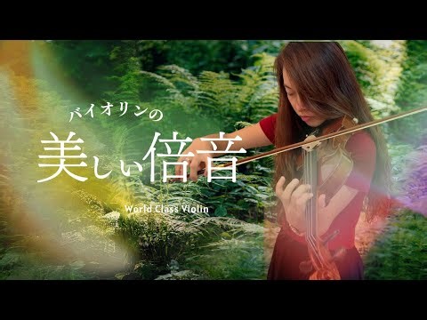 倍音が溢れる世界レベルのバイオリン，Macau Violin JOIA MV-770S