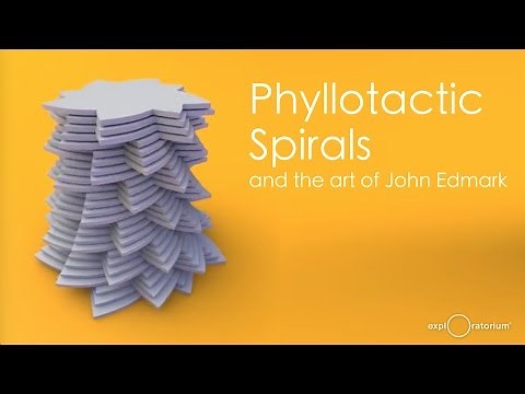 The Art of John Edmark | Talk by Paul Dancstep | Exploratorium