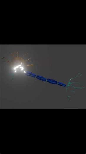 Neuron in Blender 3D #animation #bloom #sculpting