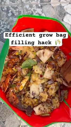 How to Fill Grow Bag Perfectly | Best Soil Mix for Healthy Plant Growth | Gardening Tips