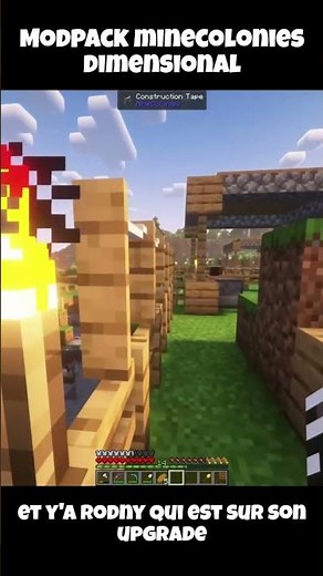 2 neuilles qui apprennent le mod ! Minecraft Minecolonies Dimensional #minecraft #minecolonies