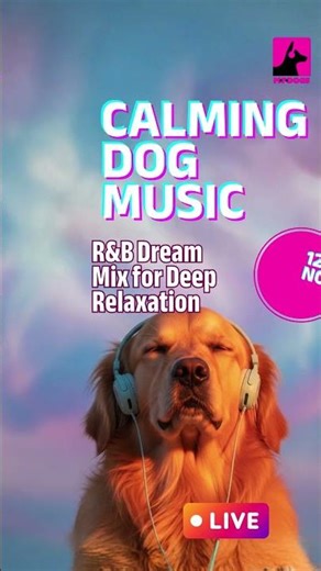 🐾✨ Does your dog need a vibe shift?