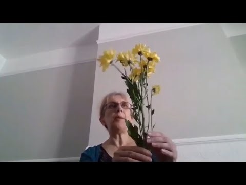 How To Do Psychic Readings With Flowers For Beginners 🌻