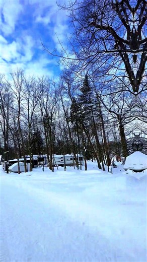 ❄️🔥 Heated cabins so cozy, trails so icy, and vibes so chill, it’s a winter escape that’s pure gold at Old Forge Camping Resort. 🧊🥶 Roll up, gear up, and make tracks in the snow. This is winter camping, Old Forge style! 🏕️💨 BOOK NOW! ☃️ OldForgeCamping.com #WaterSafariResort #ThinkSnow #OldForgeNY