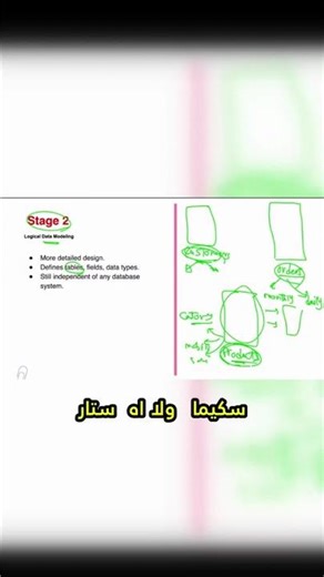 النجمية أم الثلجية؟ الصراع الأبدي في عالم تصميم جداول البيانات! 🤯