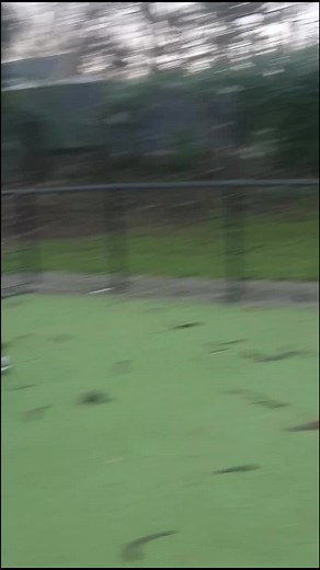 Exciting Soccer Game on Artificial Turf Field