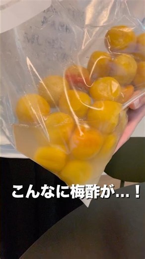 【梅仕事🔰】続編✨梅酢は上がったのか⁉️ おつとめ品で梅干し作り#40代主婦 #日常vlog #梅仕事 #梅漬け #梅干し