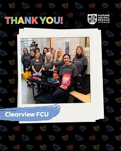 💚 Big THANK YOU to Clearview Federal Credit Union! 💚 We’re so grateful for the incredible team at Clearview FCU, who recently rolled up their sleeves and spent the day volunteering at Humane Animal Rescue of Pittsburgh. From helping behind the scenes to supporting the daily care that keeps our animals safe, healthy, and hopeful, their time made a real impact. Volunteer groups like Clearview don’t just “help out.” They make lifesaving possible. Every cleaned kennel, every restocked supply shelf