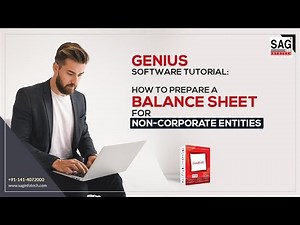 Genius Software Tutorial: How to Prepare a Balance Sheet for Non-Corporate Entities