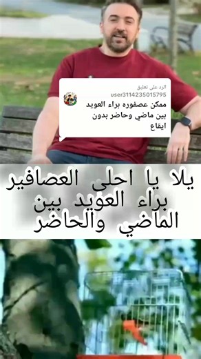 براء العويد بين الماضي والحاضر في طيور الجنة