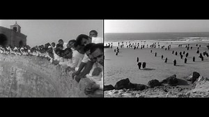 1.4K views · 21 reactions | Rapture (1999) by Shirin Neshat has been...